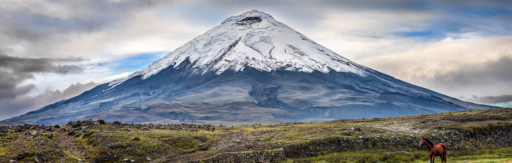 Trvalý odkaz na:Chimborazo, Cotopaxi, Andy