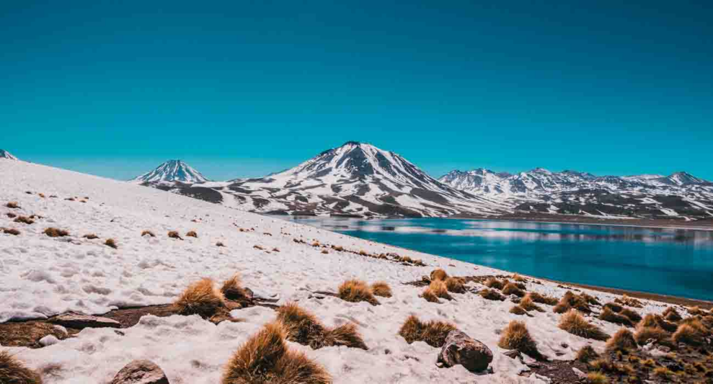 Lagunas Altiplánicas (Vysočinské laguny)